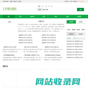 冬青树_毛冬青的功效与作用_冬青价格-农苗网