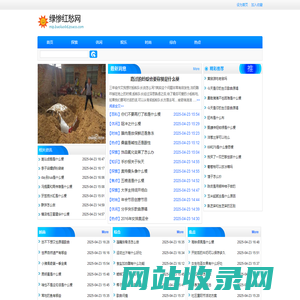 绿惨红愁网