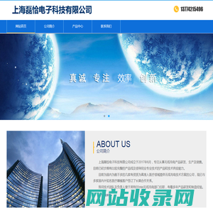 上海磊恰电子科技有限公司