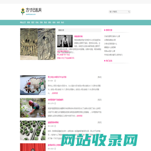 方寸已乱网
