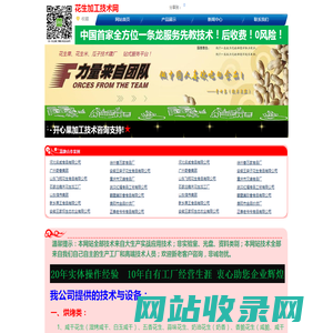 花生加工技术网