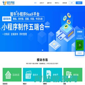 挺牛小程序平台-挺牛网络(tingniu.com)
