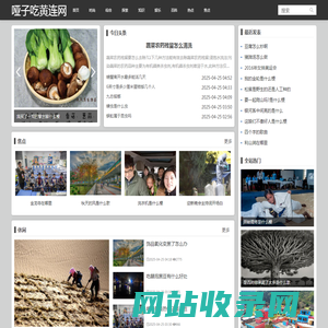 哑子吃黄连网