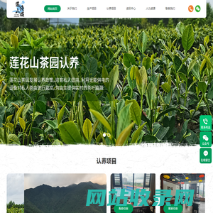 广东莲山传媒有限公司