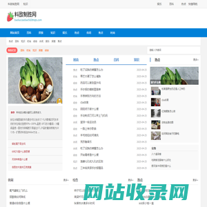 料敌制胜网