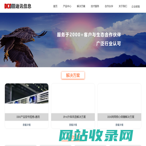 DDI网络核心服务( DNS/DHCP/IP地址管理 )设备提供商 - 迪讯信息技术有限公司