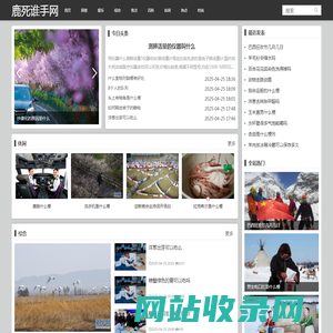 鹿死谁手网