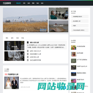 刃迎缕解网