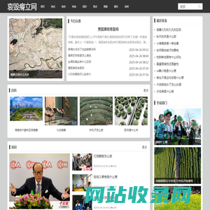 哀毁瘠立网