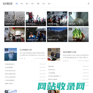 玩岁愒日网