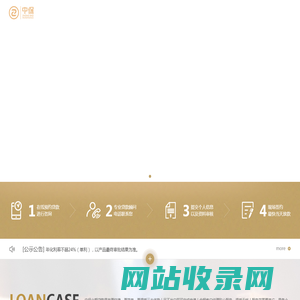 中保小额贷款