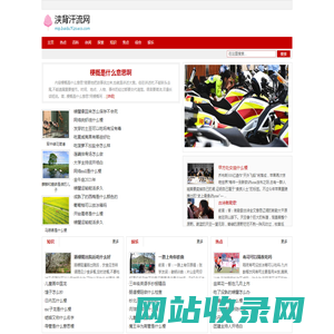 浃背汗流网