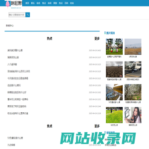衅起萧墙网