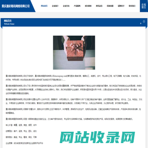 重庆晟彩朝霞网络有限公司