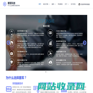 墨军科技 - 中小企业信息化专家