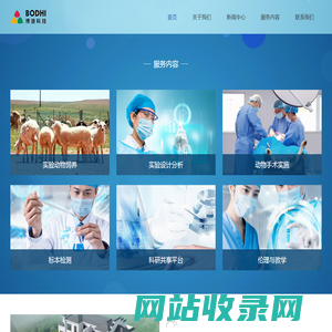 博迪科技有限公司
