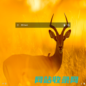 星点 Starsdot - 聚合搜索