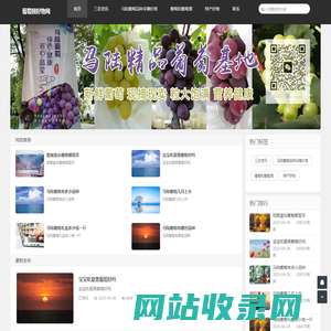 葡萄园好物官网|一个专注好物特产的网站