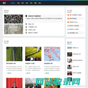 劳苦功高网