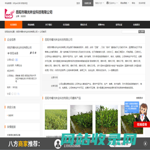 油茶苗_岳阳市曙光林业科技有限公司 - 八方资源网