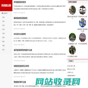 凤鸣麟出网