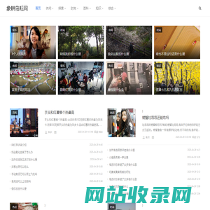 象耕鸟耘网