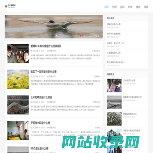 马不解鞍网