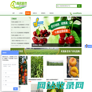 东阳市虎鹿镇扬名苗木场