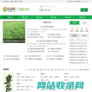 十堰苗木_十堰苗木基地_4月十堰苗木价格_十堰苗木网-农苗网