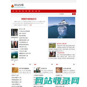 长久之计网