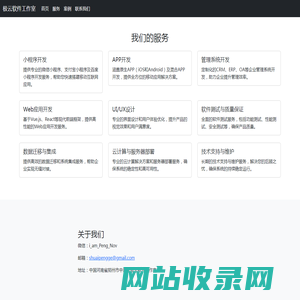 软件外包专家-极云软件工作室