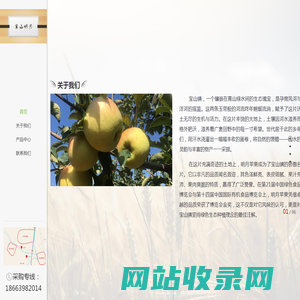 宝山明月