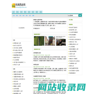 东奔西走网