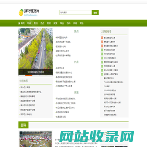 辞巧理拙网