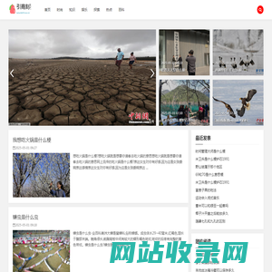 引商刻羽网