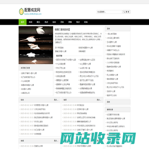 配套成龙网