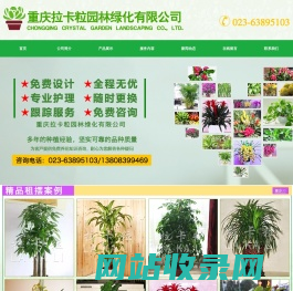 重庆植物租摆,重庆办公室植物租摆,重庆园林绿地养护-重庆拉卡粒园林绿化有限公司