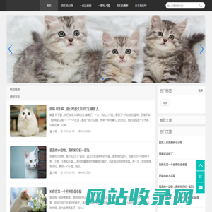 子栖的宠物猫
