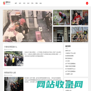 言听计从网