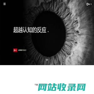 DUI 反应堆