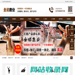 金诺鹿业