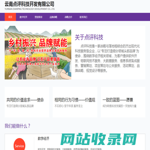 云南点评科技开发有限公司