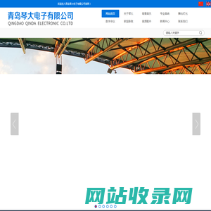 青岛琴大电子有限公司