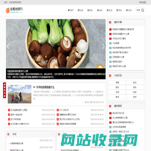 含苞待放网