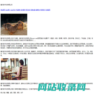 重庆链升科技有限公司