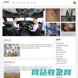 愁长殢酒网
