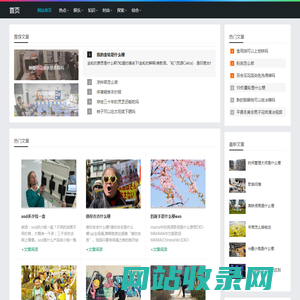 半半路路网