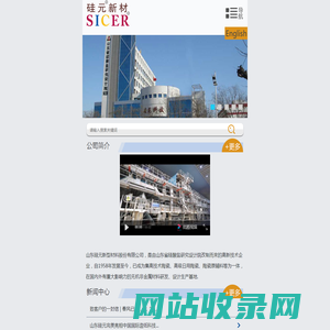 山东硅元新型材料股份有限公司