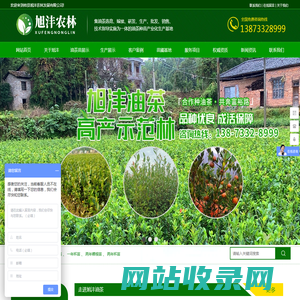 攸县旭沣农林发展有限公司_湖南省_油茶苗_一年裸根苗_一年杯苗_两年裸根苗