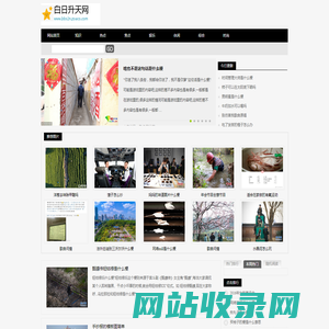 白日升天网